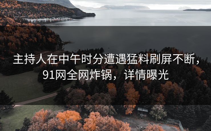 主持人在中午时分遭遇猛料刷屏不断，91网全网炸锅，详情曝光