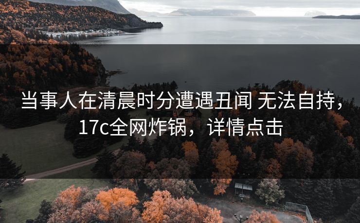 当事人在清晨时分遭遇丑闻 无法自持，17c全网炸锅，详情点击