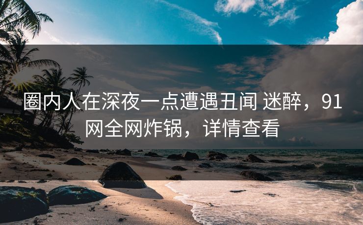 圈内人在深夜一点遭遇丑闻 迷醉，91网全网炸锅，详情查看